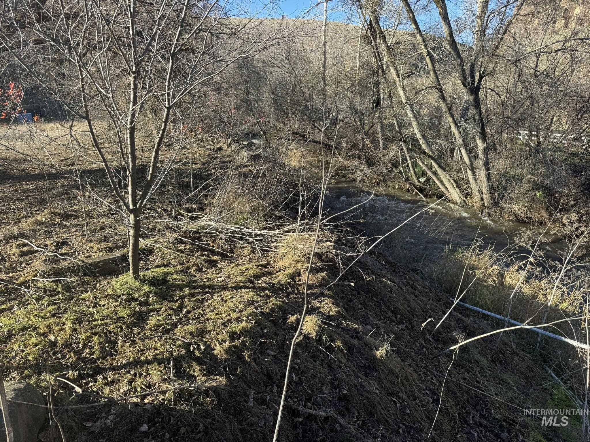8047 Asotin Creek Road Asotin, WA 99402 - Photo 10 of 36 View of local wilderness