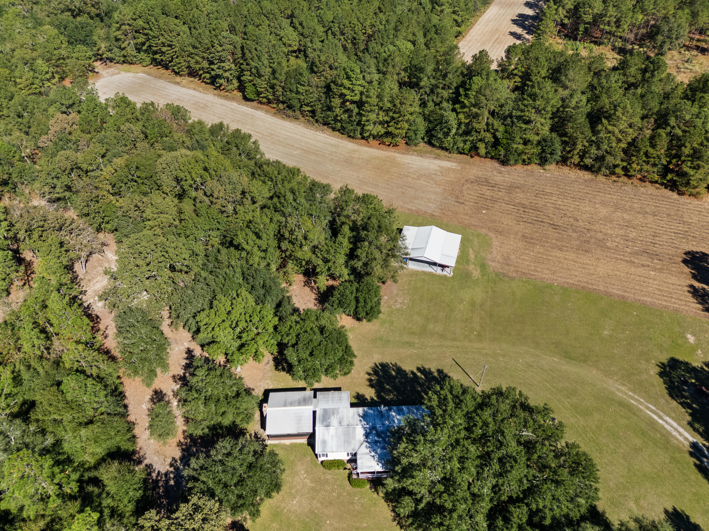 7901 State Rd S-6-169 Blackville, SC 29817 - Photo 75 of 89
