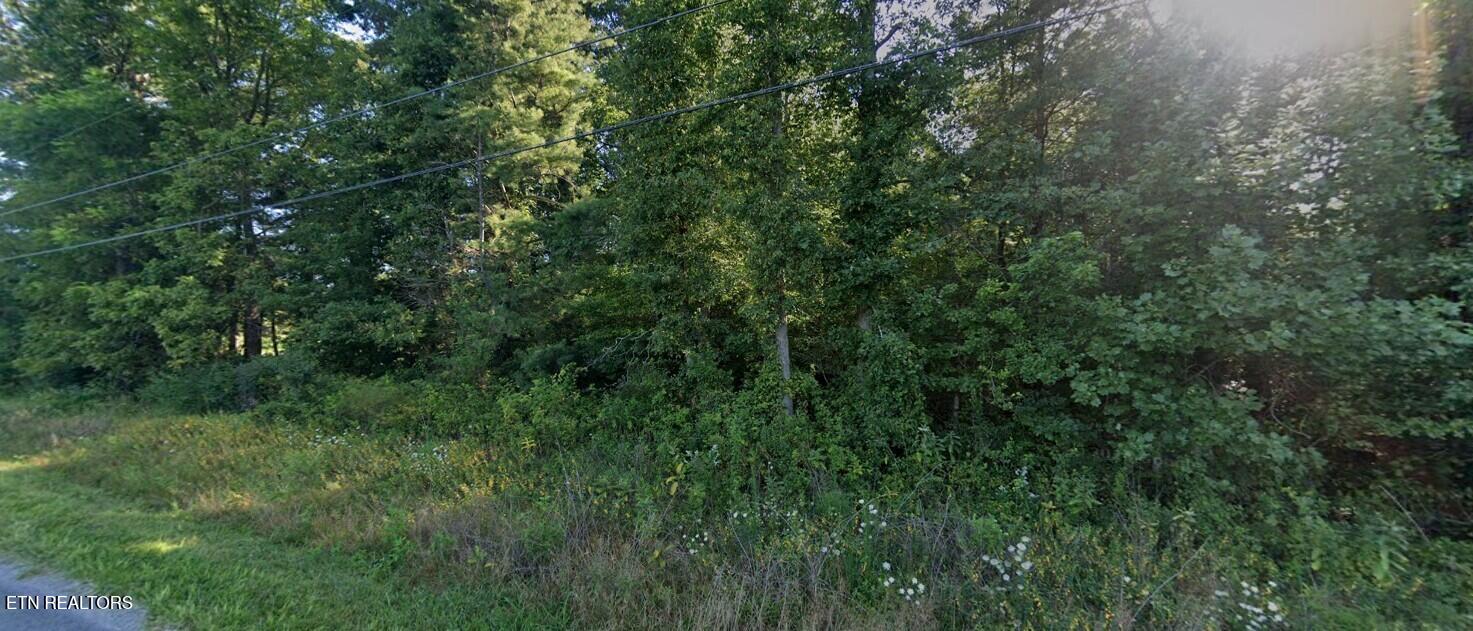 0 Jr Camp Road Crossville, TN 38571 - Photo 3 of 4 Land