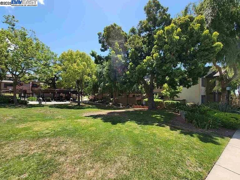 175 East Warren Common Fremont, CA 94539 - Photo 14 of 16 a view of a park with large trees