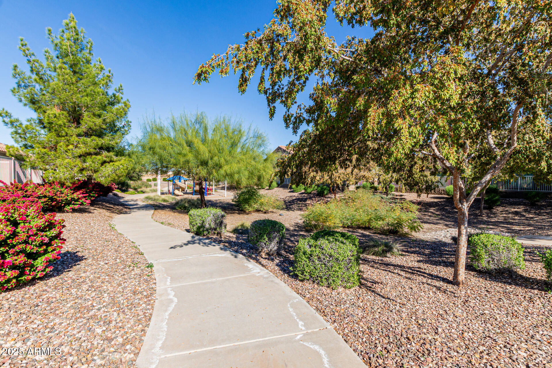 7596 West Charter Oak Road Peoria, AZ 85381 - Photo 27 of 29 a view of a park with plants and trees