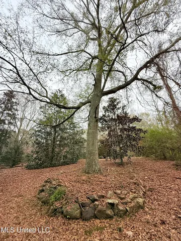 $69,500 | 2329 Southwest Big Creek Drive, Bogue Chitto, MS 39629