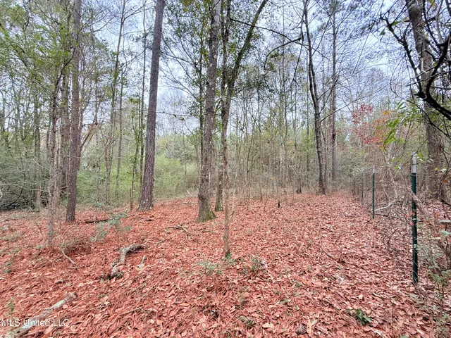 $69,500 | 2329 Southwest Big Creek Drive, Bogue Chitto, MS 39629
