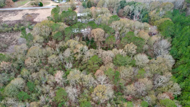 $69,500 | 2329 Southwest Big Creek Drive, Bogue Chitto, MS 39629