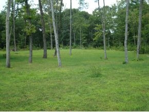 114-franklin Rd 114-franklin Road Salisbury, NH 03268 - Photo 2 of 2