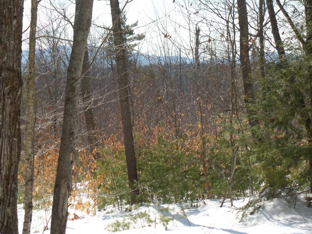 0 Avery Road Wolfeboro, NH 03894 - Photo 22 of 23