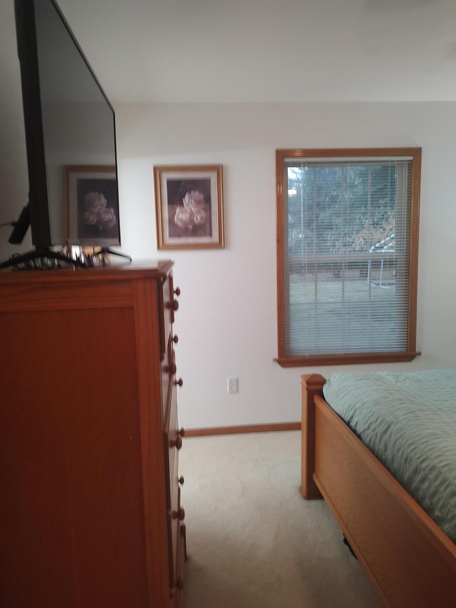 9710 Monroe Road St. Helen, MI 48656 - Photo 16 of 37 master bedroom