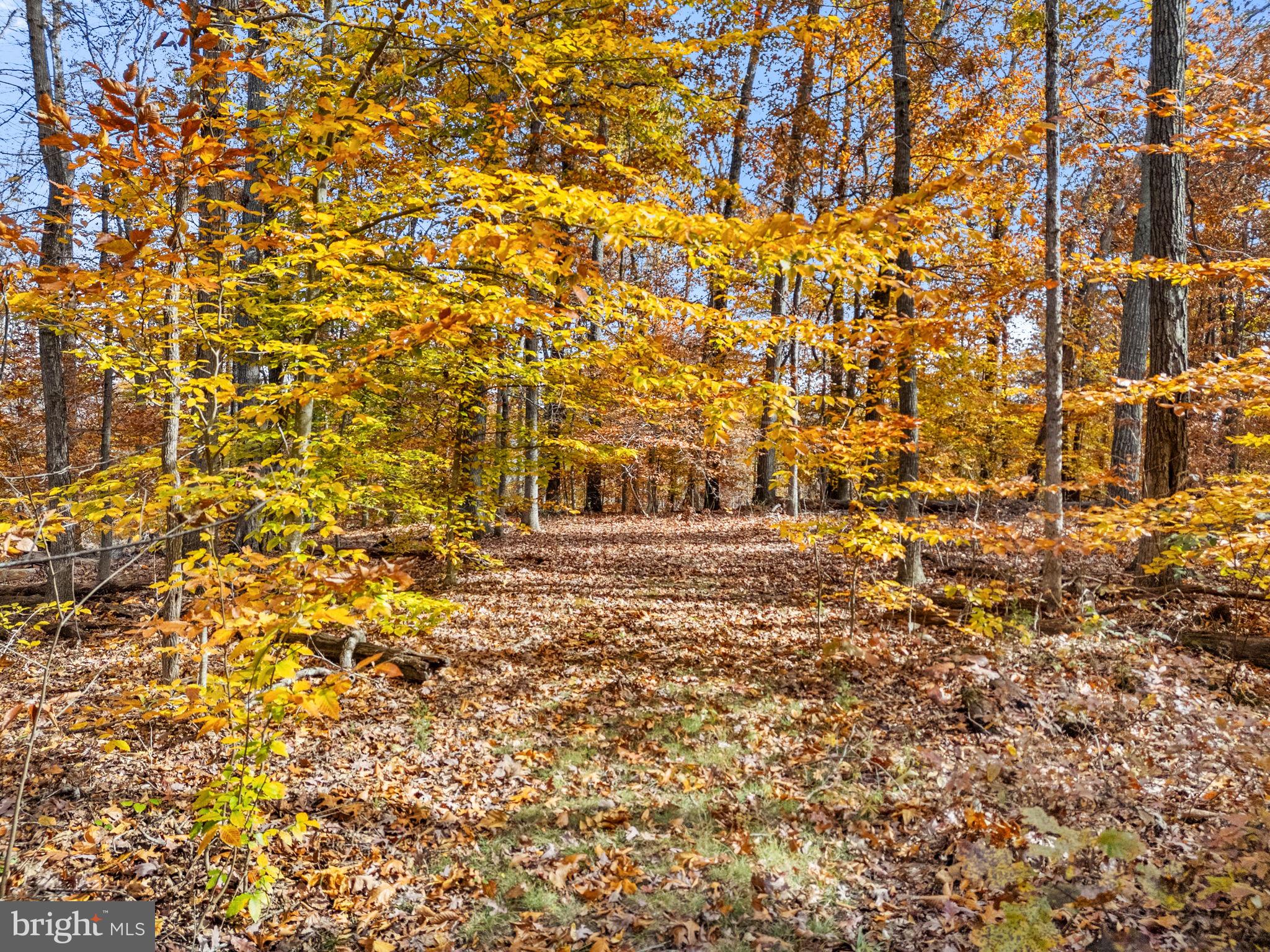 8485 Rogues Road Warrenton, VA 20187 - Photo 112 of 121 Trails