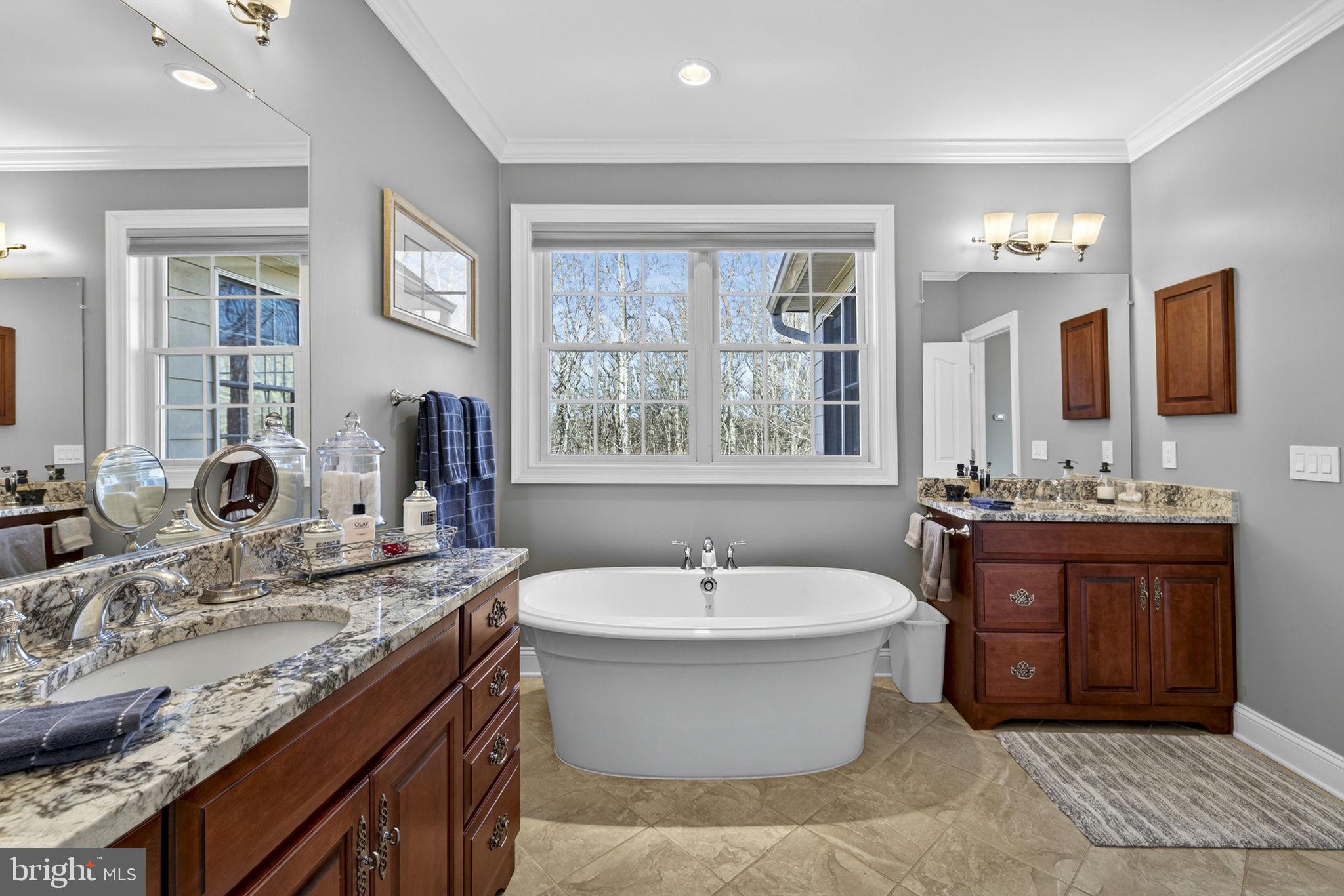 8485 Rogues Road Warrenton, VA 20187 - Photo 35 of 121 Primary bath