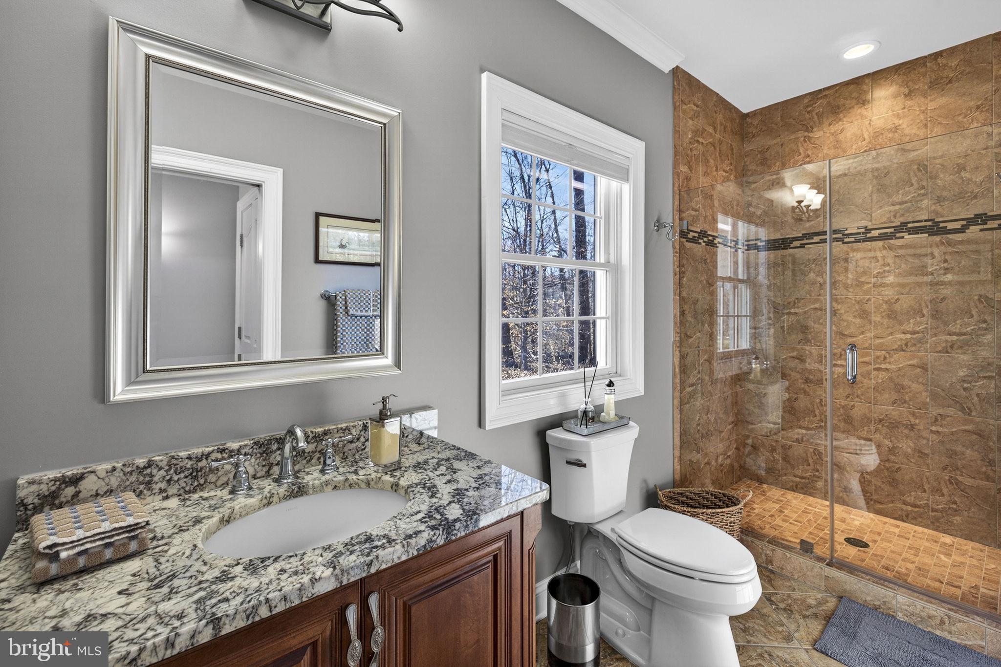 8485 Rogues Road Warrenton, VA 20187 - Photo 36 of 121 a bathroom with a granite countertop sink toilet and shower