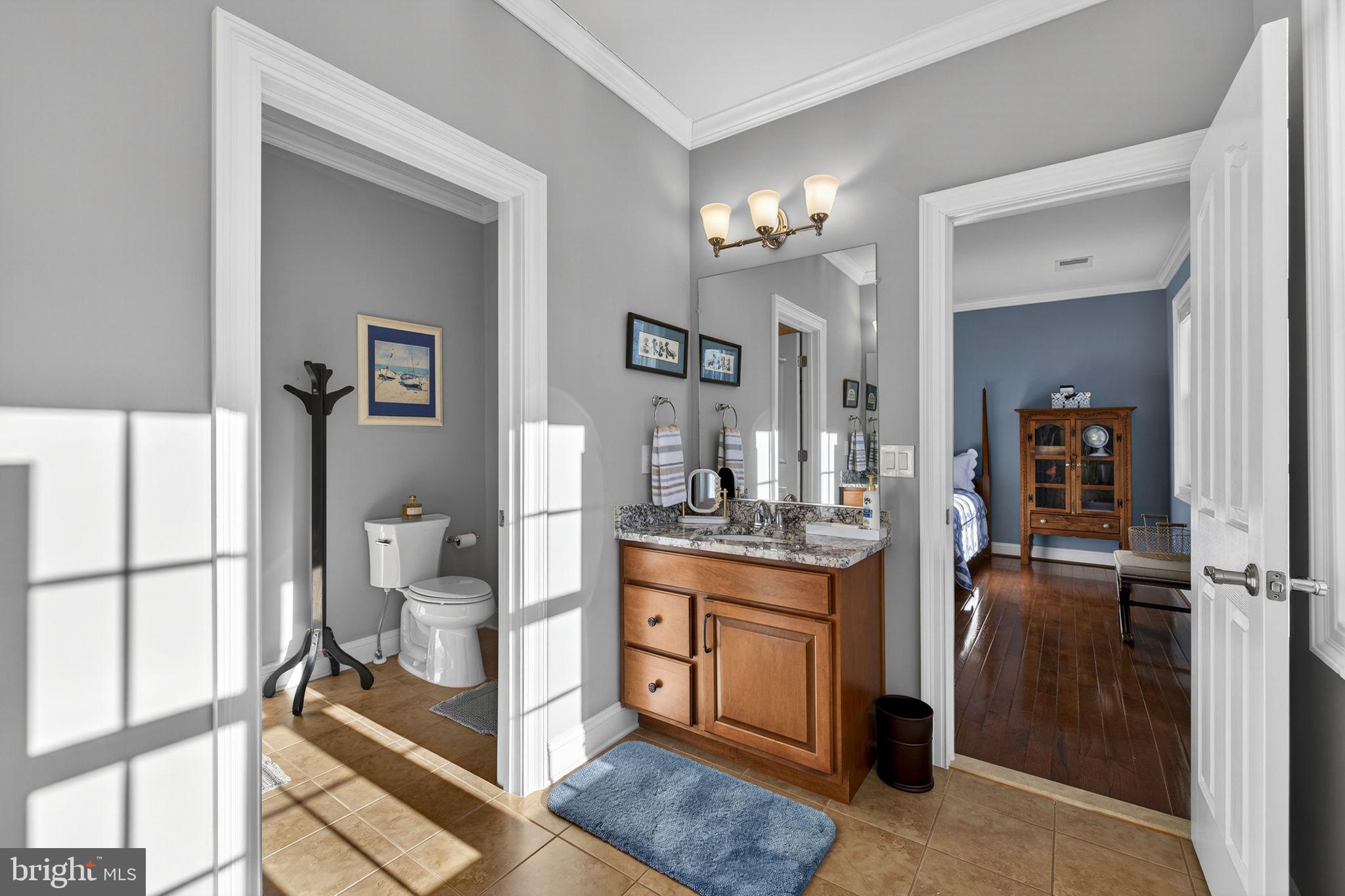 8485 Rogues Road Warrenton, VA 20187 - Photo 42 of 121 Jack and Jill bath