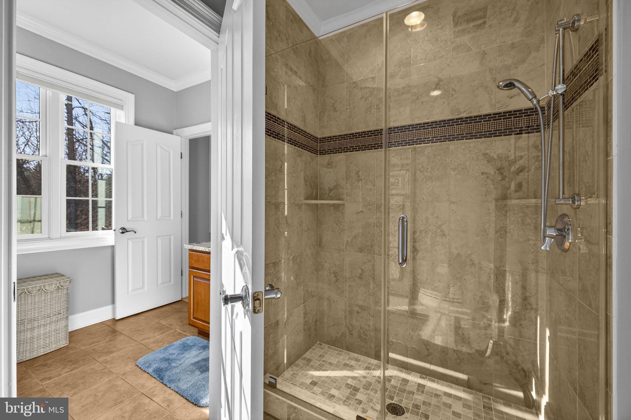 8485 Rogues Road Warrenton, VA 20187 - Photo 43 of 121 Jack and Jill shower