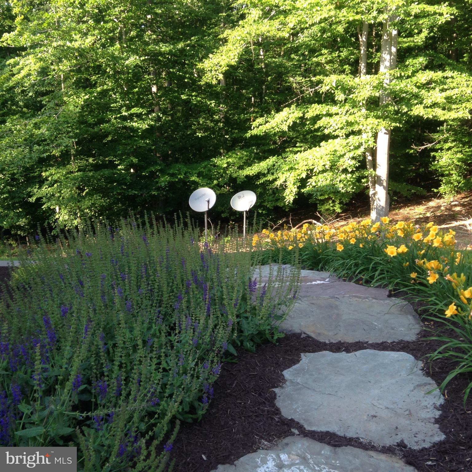 8485 Rogues Road Warrenton, VA 20187 - Photo 67 of 121