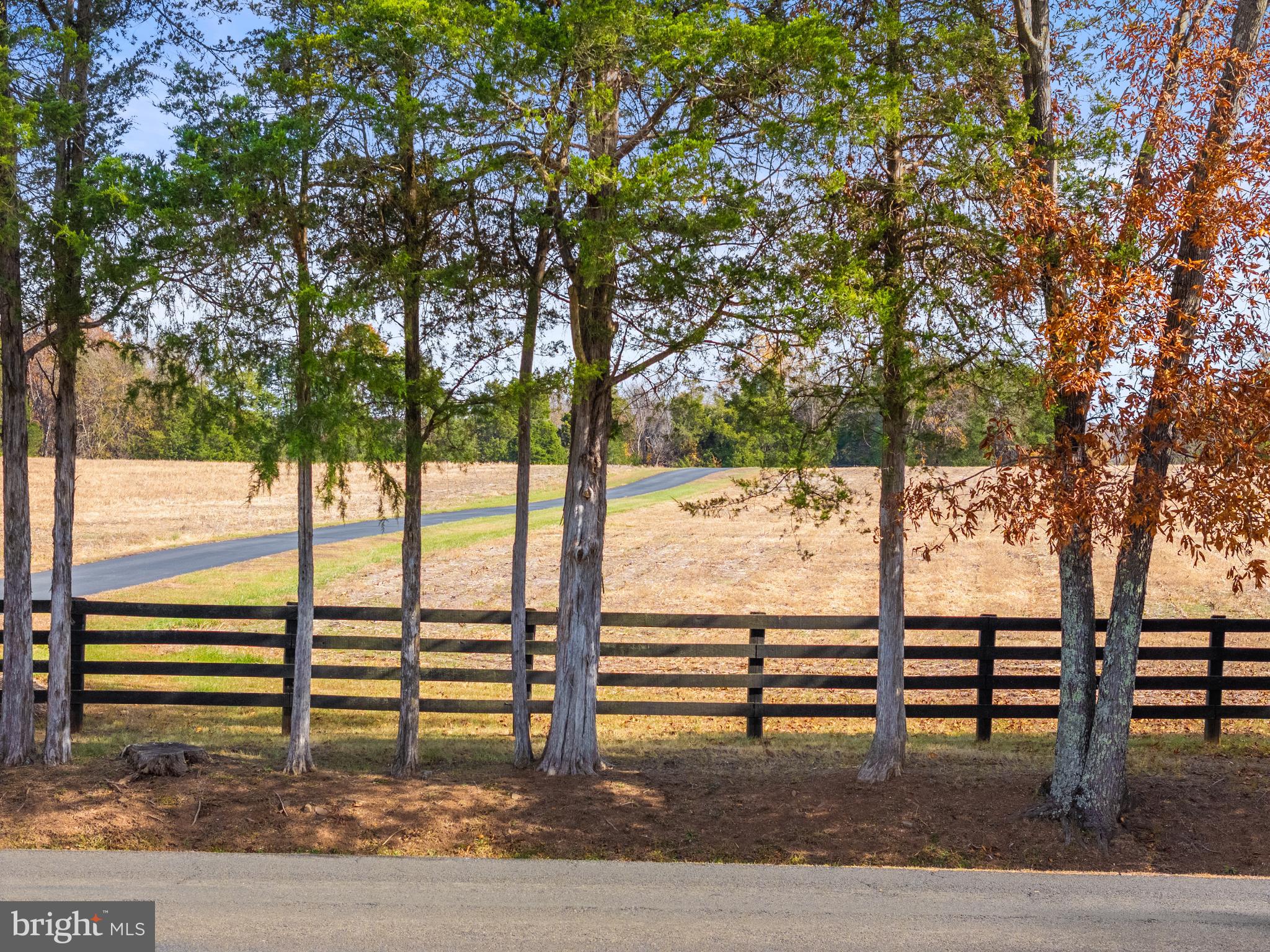 8485 Rogues Road Warrenton, VA 20187 - Photo 70 of 121 a view of a bench in the middle of a yard
