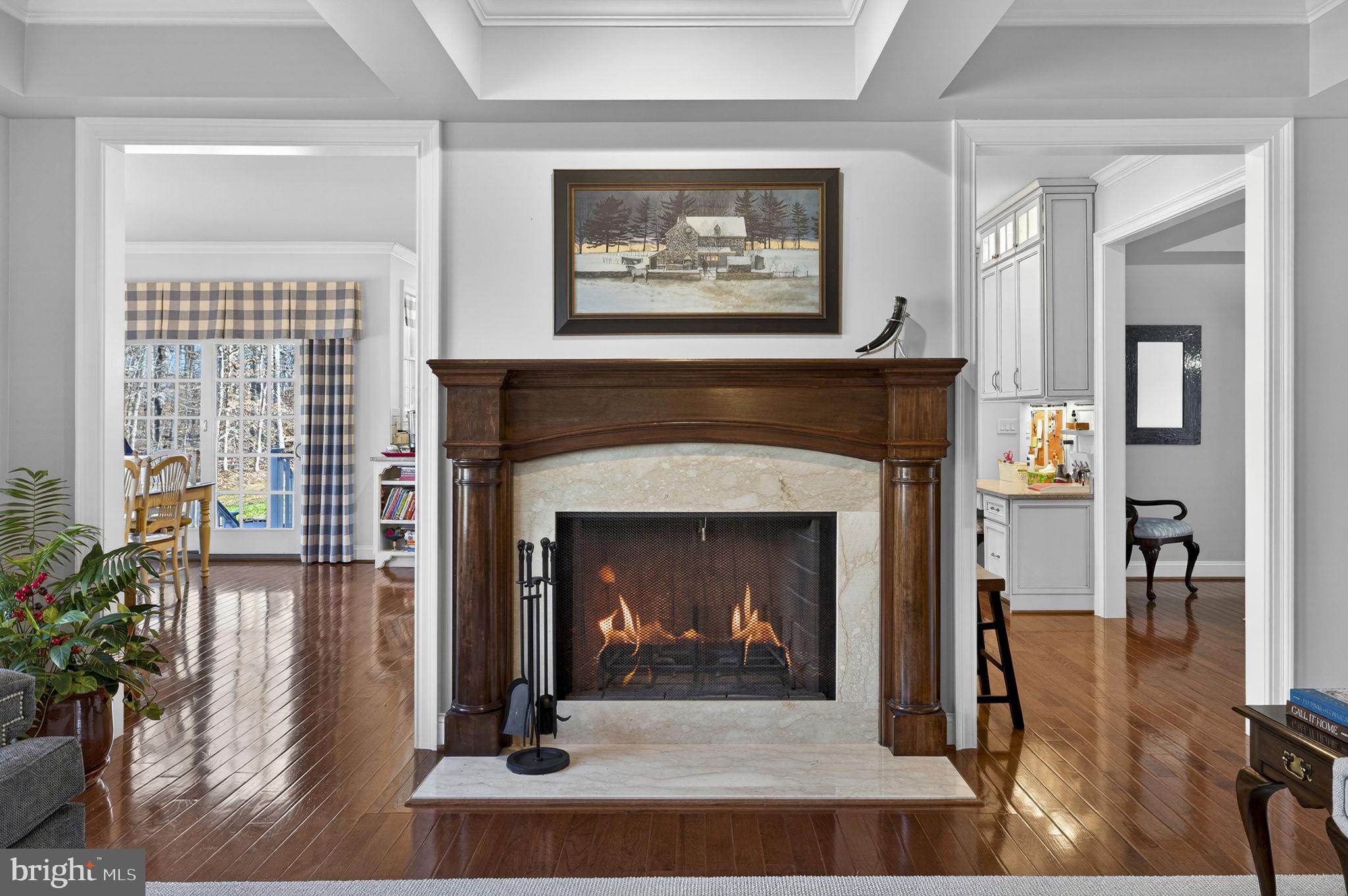 8485 Rogues Road Warrenton, VA 20187 - Photo 8 of 121 a living room with furniture and a fireplace