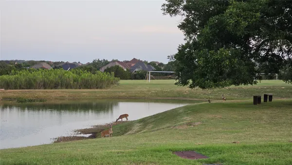 $4,990 | 236 Egret Lane, Austin, TX 78737