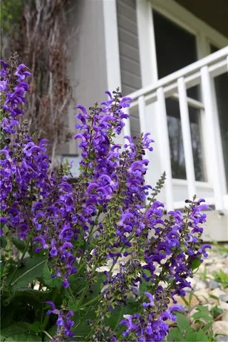 $425,000 | 29208 East 343rd Street, Garden City, MO 64747