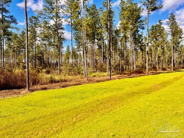 $289,000 | Lot 5 Denali Road, Jay, FL 32565