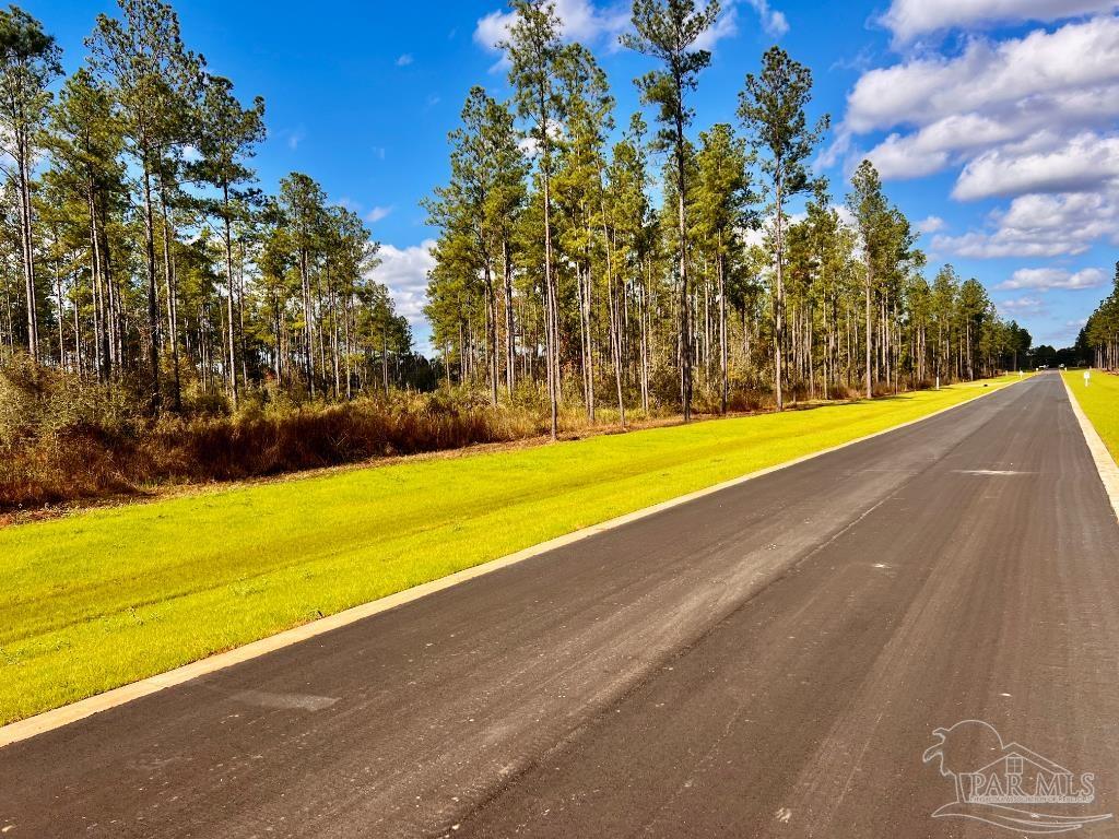 Lot 5 Denali Road Jay, FL 32565 - Photo 11 of 30