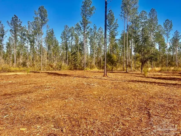 $289,000 | Lot 5 Denali Road, Jay, FL 32565