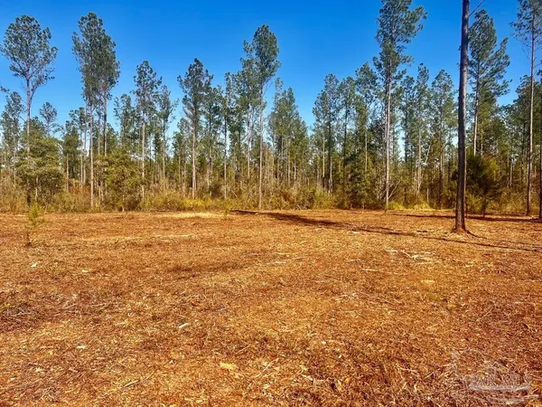 $289,000 | Lot 5 Denali Road, Jay, FL 32565
