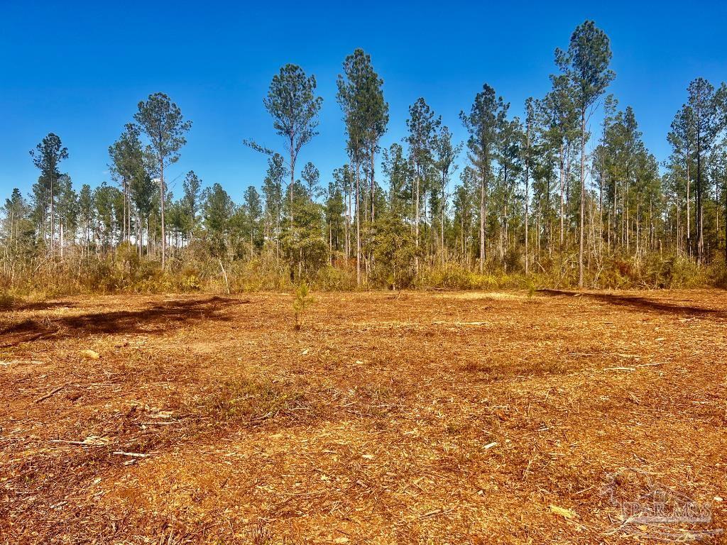 Lot 5 Denali Road Jay, FL 32565 - Photo 14 of 30