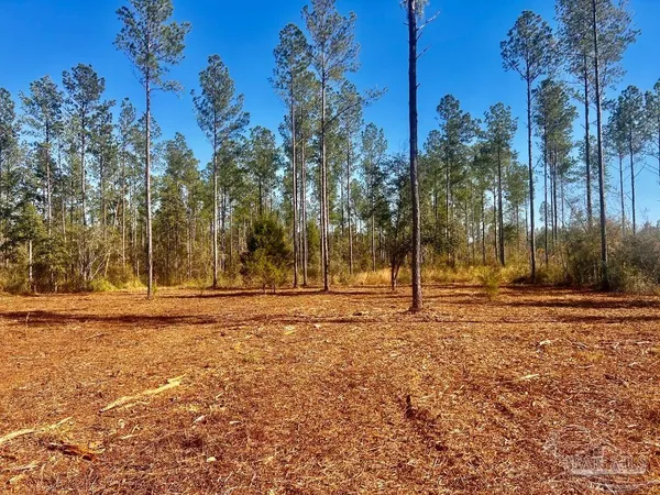 $289,000 | Lot 5 Denali Road, Jay, FL 32565