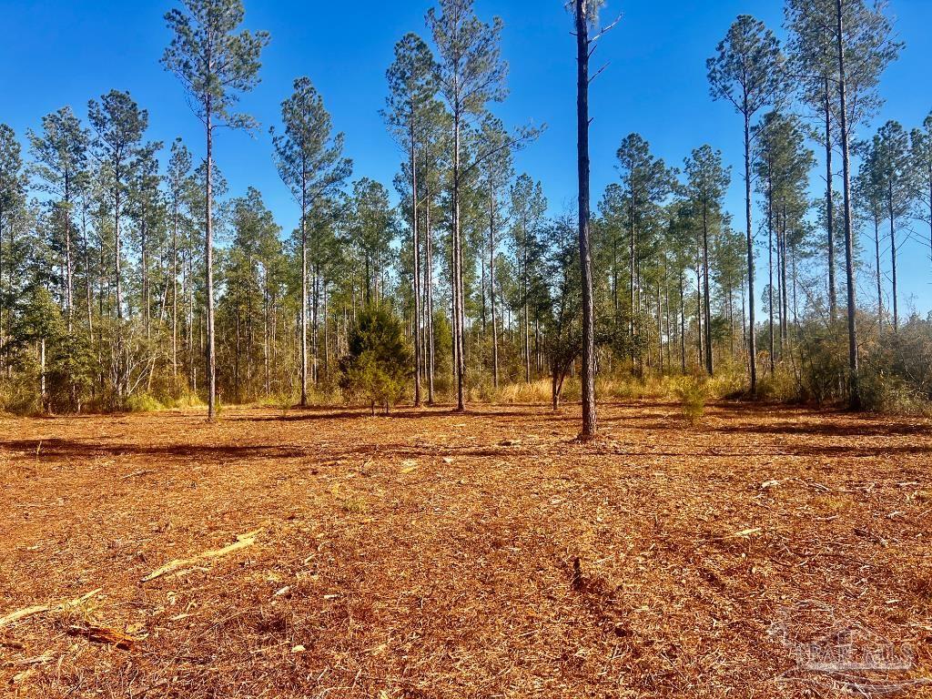 Lot 5 Denali Road Jay, FL 32565 - Photo 15 of 30