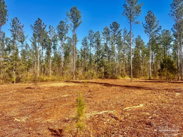 $289,000 | Lot 5 Denali Road, Jay, FL 32565