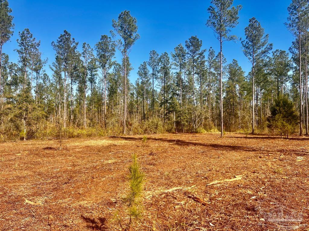 Lot 5 Denali Road Jay, FL 32565 - Photo 16 of 30