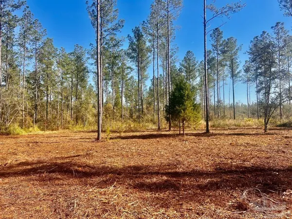 $289,000 | Lot 5 Denali Road, Jay, FL 32565