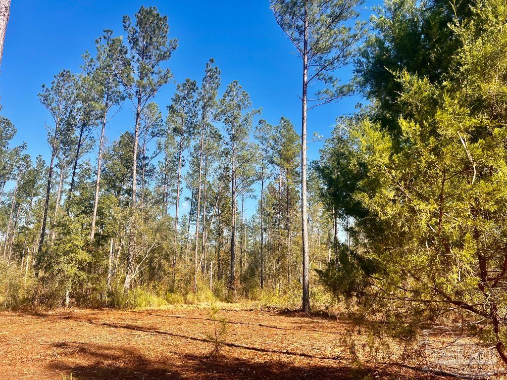 Lot 5 Denali Road Jay, FL 32565 - Photo 18 of 30