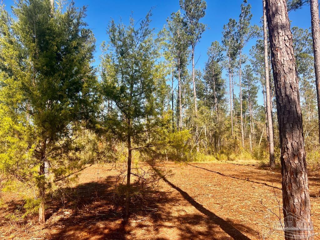 Lot 5 Denali Road Jay, FL 32565 - Photo 19 of 30