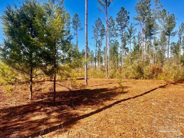 $289,000 | Lot 5 Denali Road, Jay, FL 32565