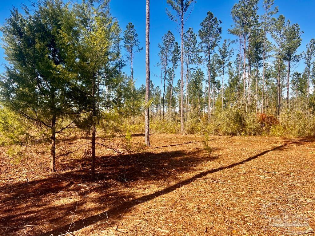 Lot 5 Denali Road Jay, FL 32565 - Photo 20 of 30