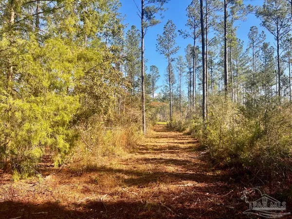 $289,000 | Lot 5 Denali Road, Jay, FL 32565