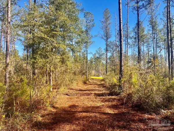 $289,000 | Lot 5 Denali Road, Jay, FL 32565