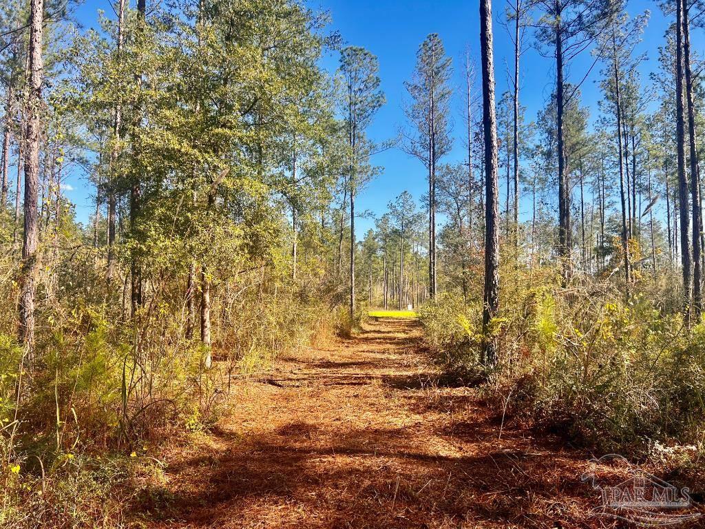 Lot 5 Denali Road Jay, FL 32565 - Photo 22 of 30