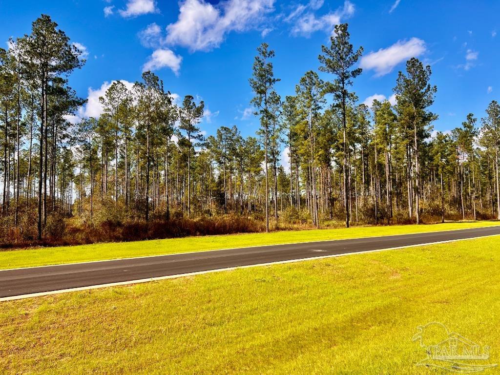 Lot 5 Denali Road Jay, FL 32565 - Photo 7 of 30