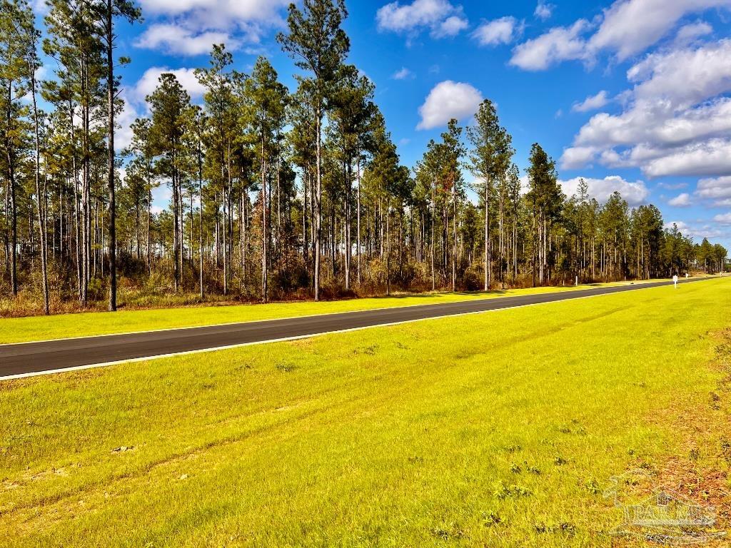 Lot 5 Denali Road Jay, FL 32565 - Photo 8 of 30