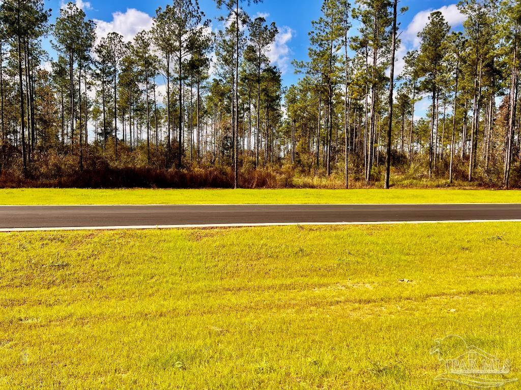 Lot 5 Denali Road Jay, FL 32565 - Photo 9 of 30