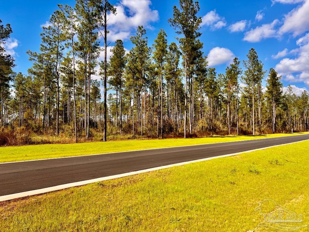 Lot 5 Denali Road Jay, FL 32565 - Photo 10 of 30