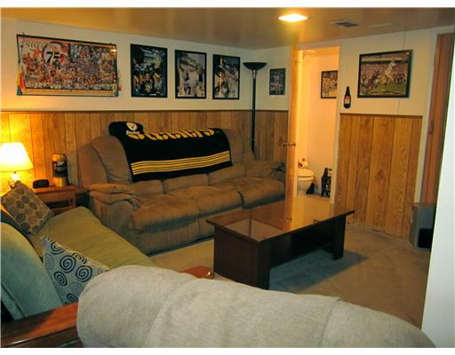 2053 Borland Road Pittsburgh, PA 15243 - Photo 14 of 17 Family Room.