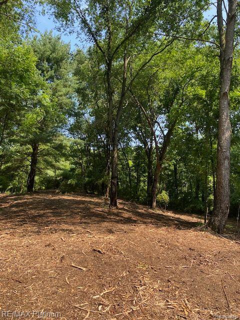 7 Sleaford-parcel 7 - 2 Acres Road Howell, MI 48843 - Photo 13 of 45