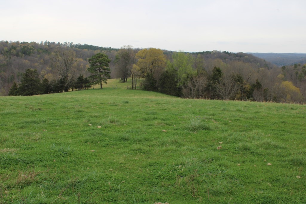 416 New Hope Road Marshall, AR 72650 - Photo 29 of 60 pasture - view