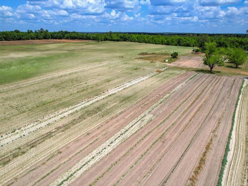 127 Tinker Creek Road Williston, SC 29853 - Photo 6 of 17