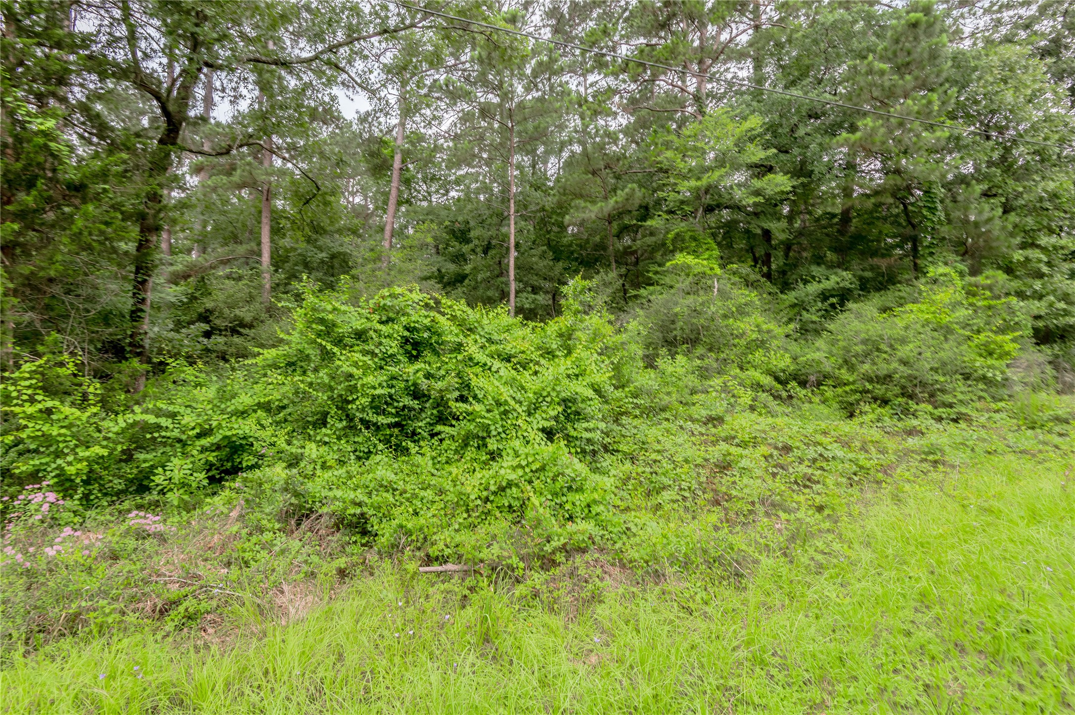 Lot 56 Post Oak Circle Trinity, TX 75862 - Photo 8 of 33