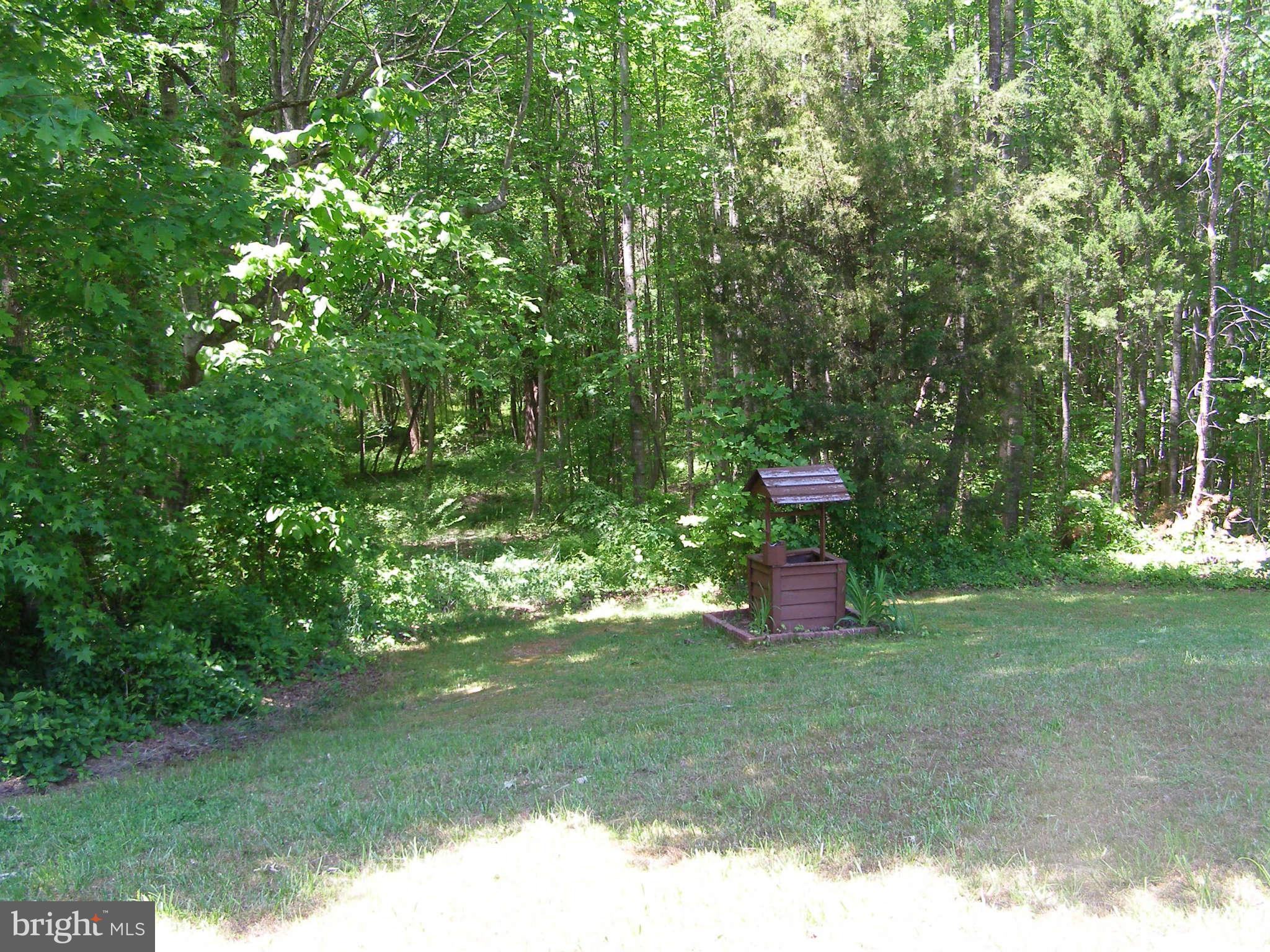 2369 Bagby Road Bumpass, VA 23024 - Photo 11 of 30 Exterior (Rear)