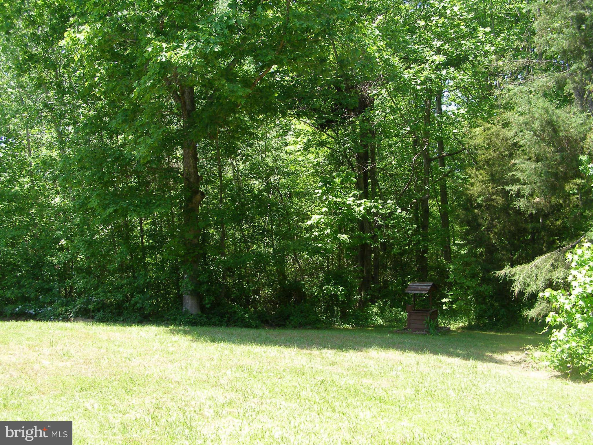 2369 Bagby Road Bumpass, VA 23024 - Photo 12 of 30 Exterior (General)