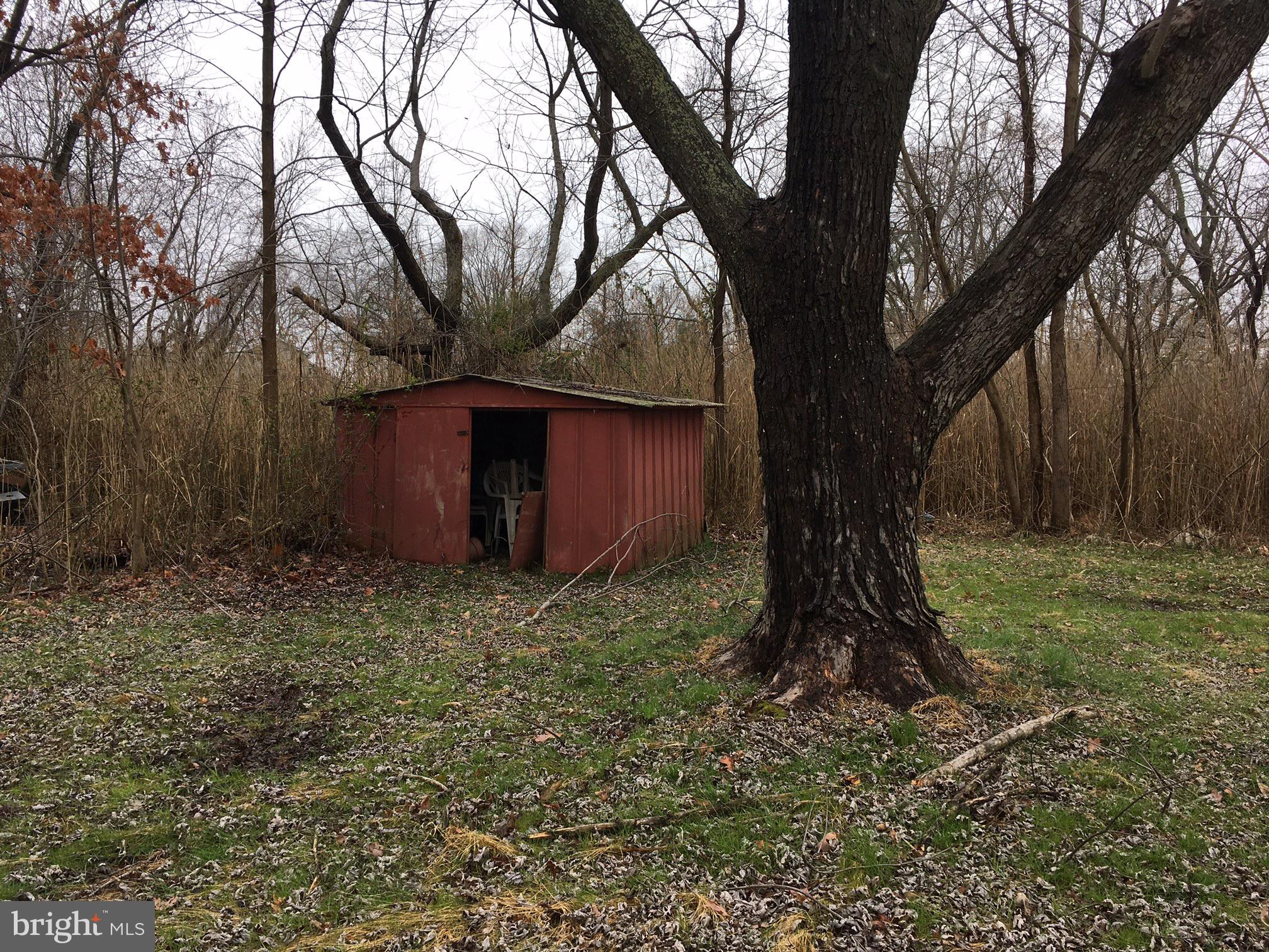 5876 Coleman Road Rock Hall, MD 21661 - Photo 2 of 13 Shed in rear yard